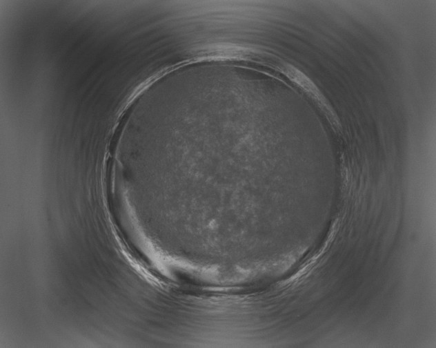 X0000084560842200702231230