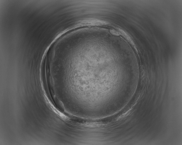 X0000084560843200702231230