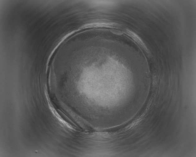 X0000084560844200702231230