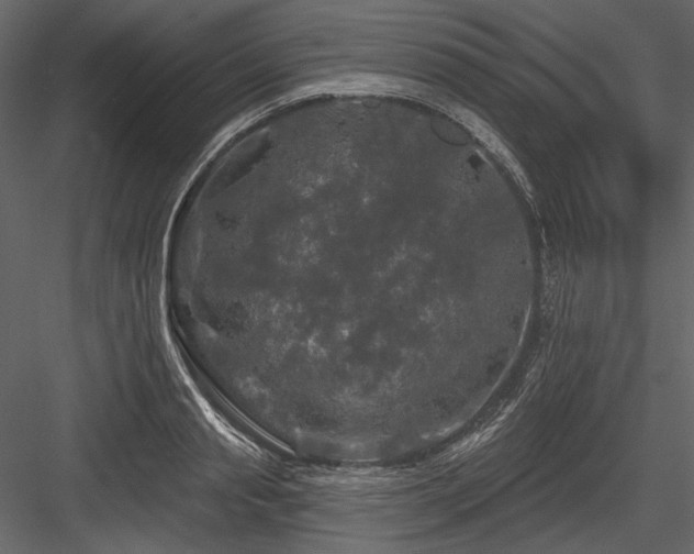 X0000084560845200702231230