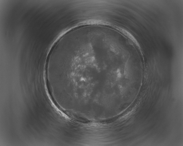 X0000084560847200702231230