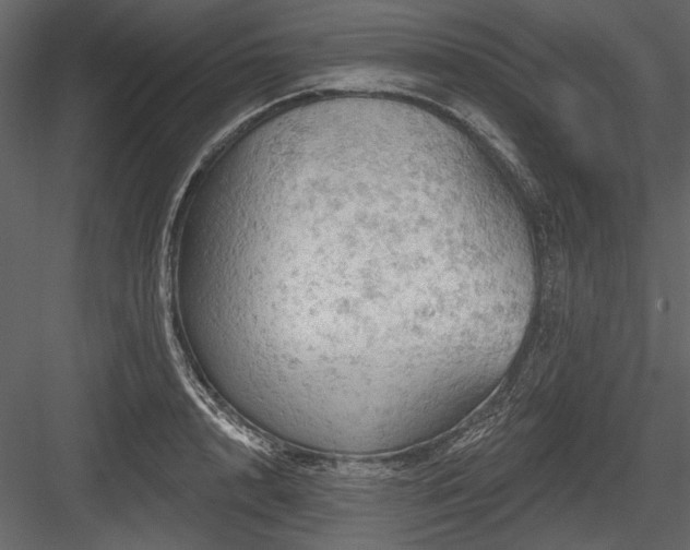 X0000084560848200702231230