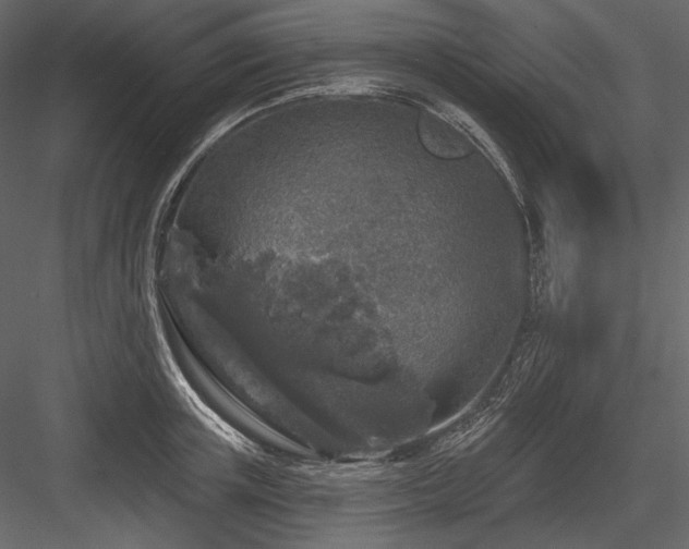 X0000084560851200702231230