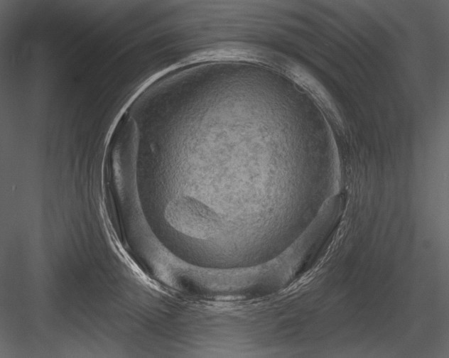 X0000084560852200702231230