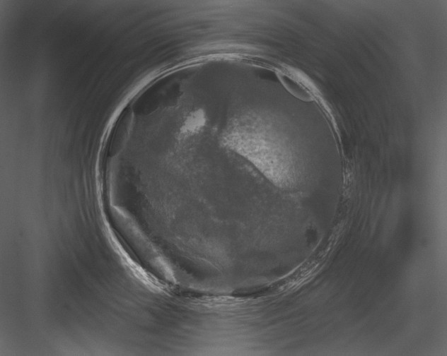 X0000084560859200702231230