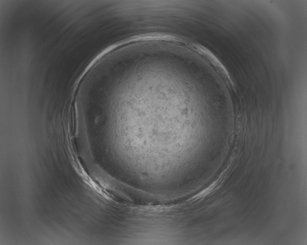 X0000084560860200702231230