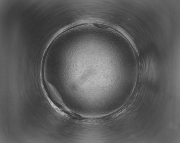 X0000084560861200702231230