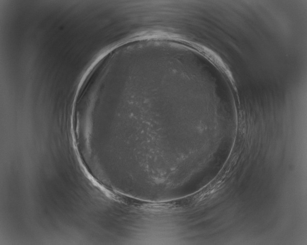 X0000084560863200702231230