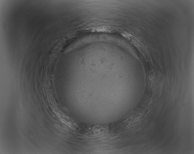 X0000084560865200702231229