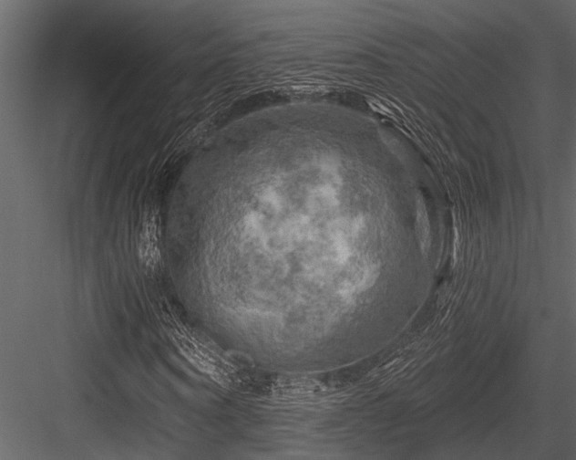 X0000084560866200702231229