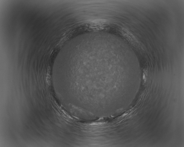 X0000084560867200702231229