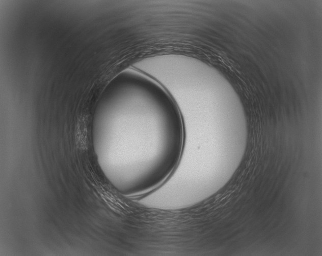 X0000084560868200702231229