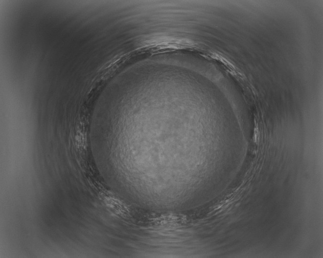 X0000084560869200702231229