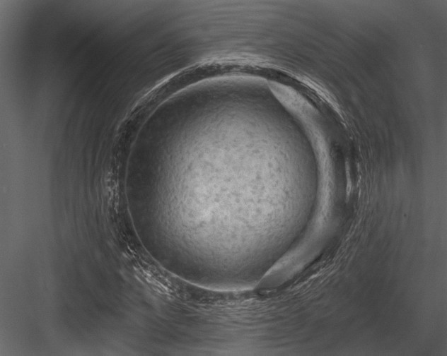 X0000084560872200702231229