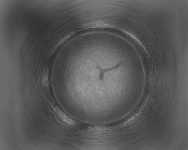 X0000084560873200702231229