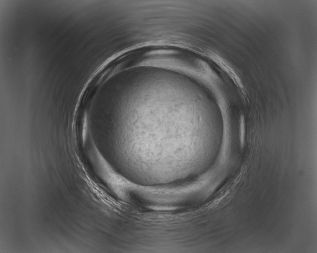 X0000084560876200702231229