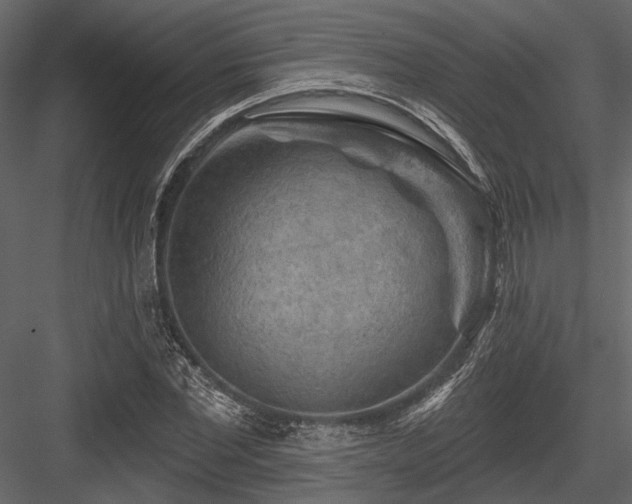 X0000084560877200702231229