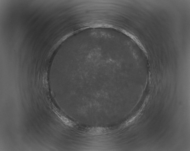 X0000084560881200702231229