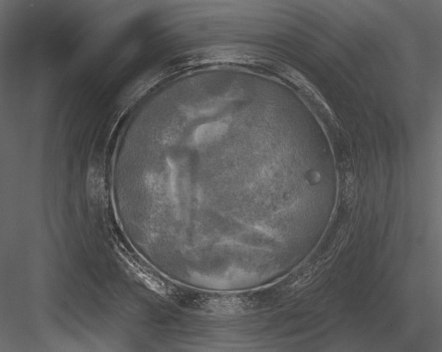 X0000084560882200702231229