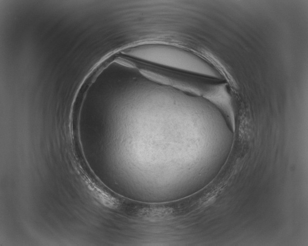 X0000084560884200702231229