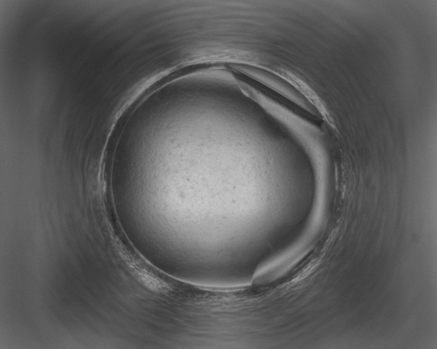 X0000084560885200702231229