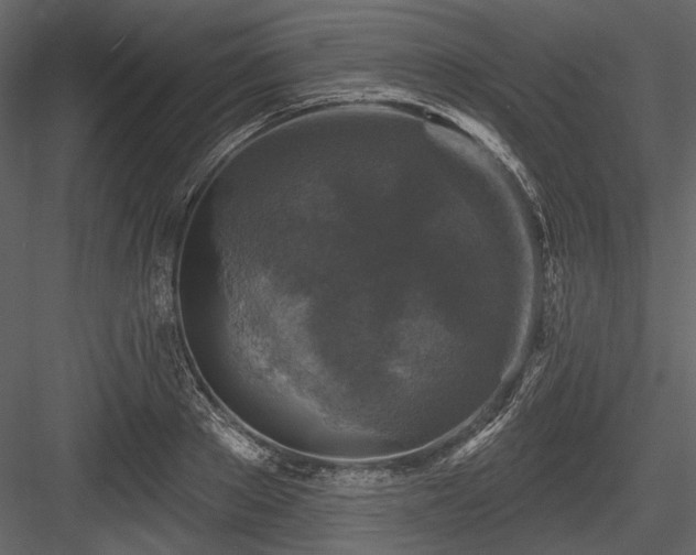 X0000084560889200702231229