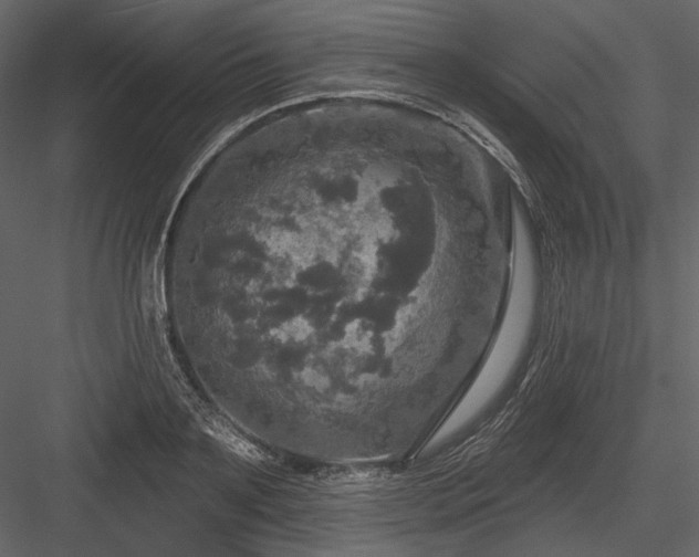 X0000084560891200702231229