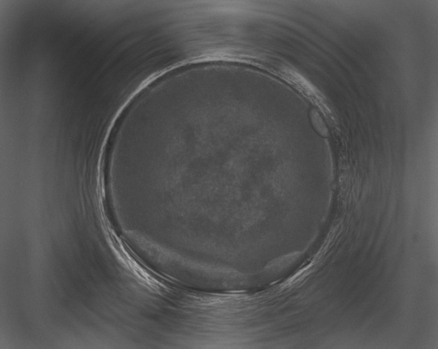 X0000084560892200702231229