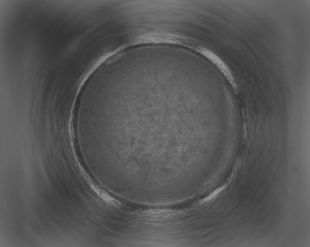 X0000084560893200702231229