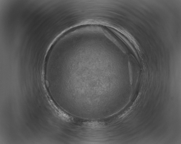 X0000084560896200702231229