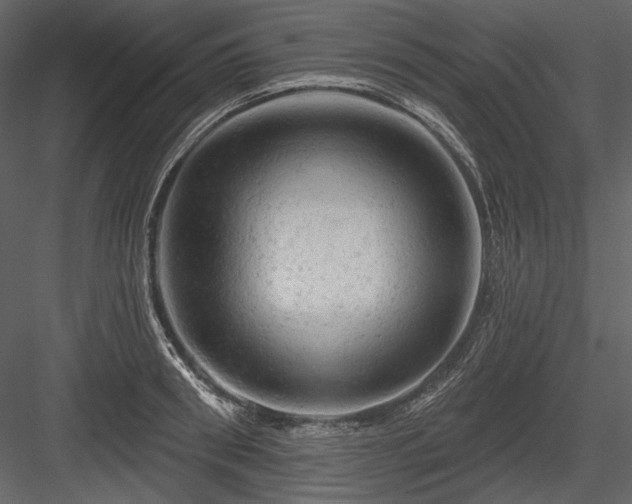 X0000084560898200702231229