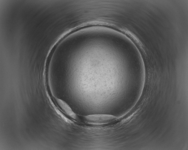 X0000084560902200702231229