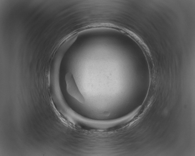X0000084560905200702231229