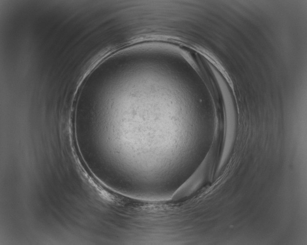 X0000084560906200702231229