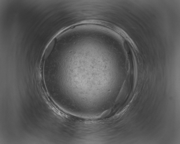X0000084560908200702231229