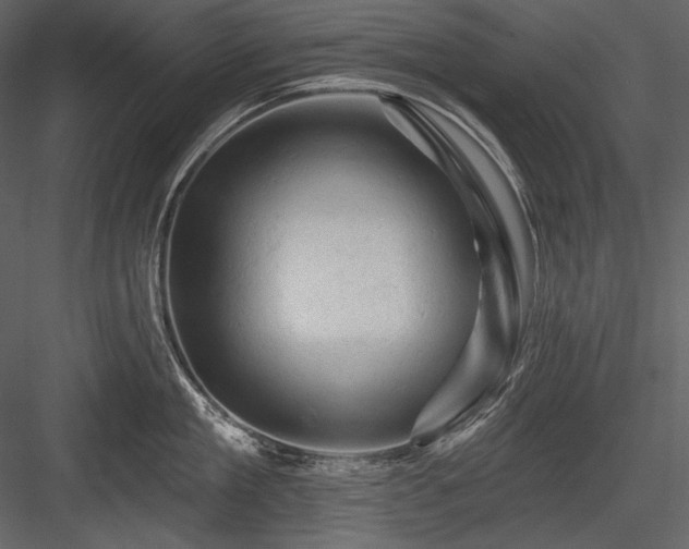 X0000084560909200702231228