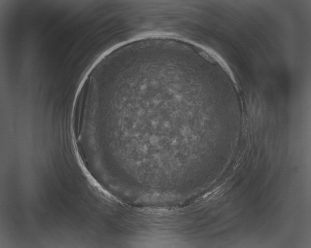 X0000084560911200702231228