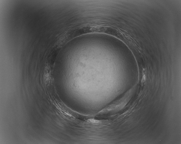 X0000084560914200702231228
