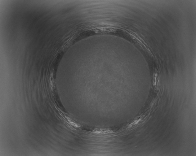 X0000084560915200702231228