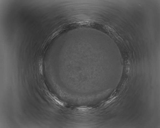 X0000084560916200702231228