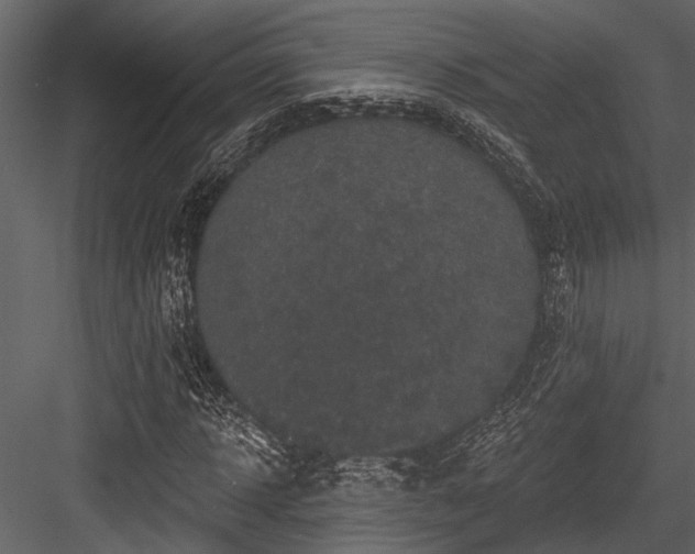 X0000084560918200702231228
