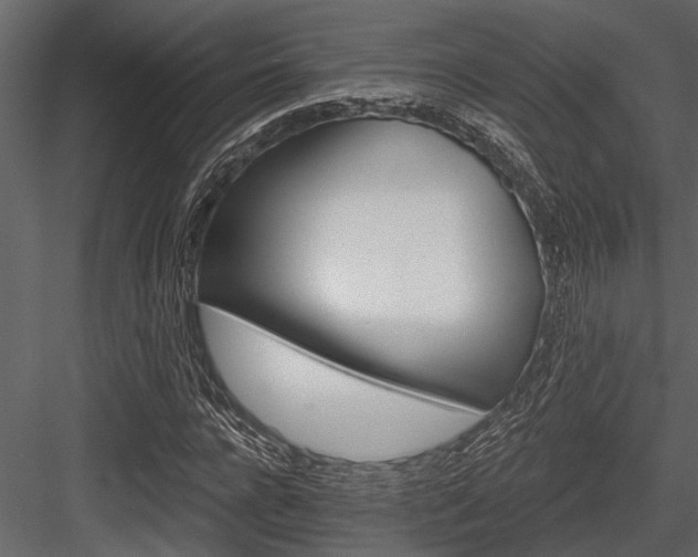 X0000084560920200702231228