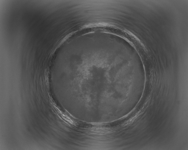 X0000084560921200702231228