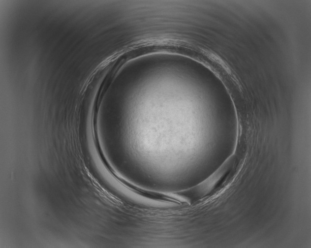 X0000084560922200702231228