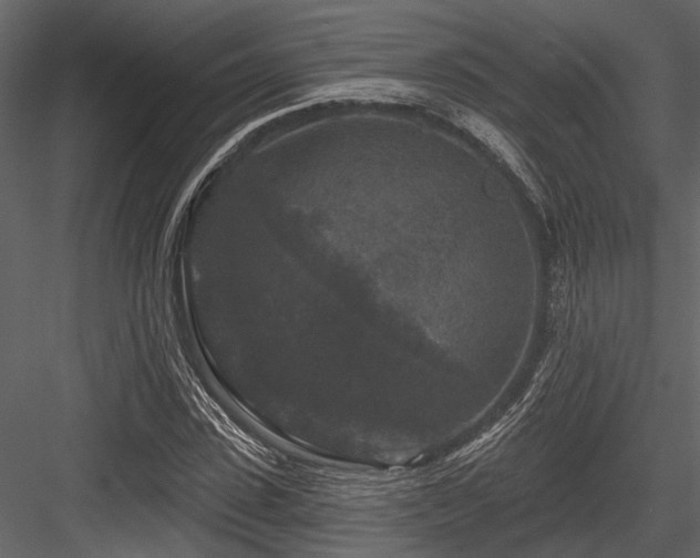 X0000084560923200702231228