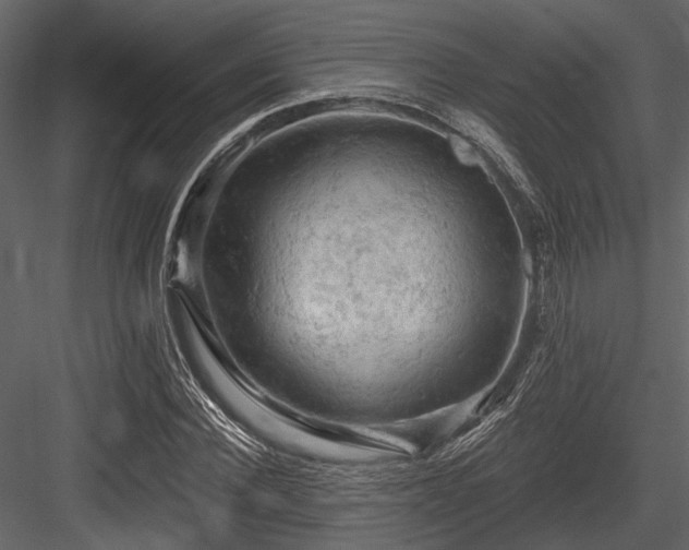 X0000084560924200702231228