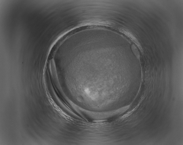 X0000084560928200702231228
