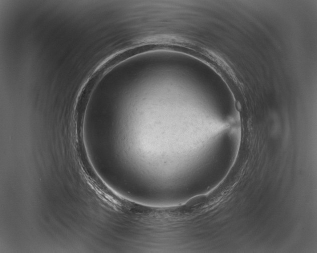 X0000084560931200702231228