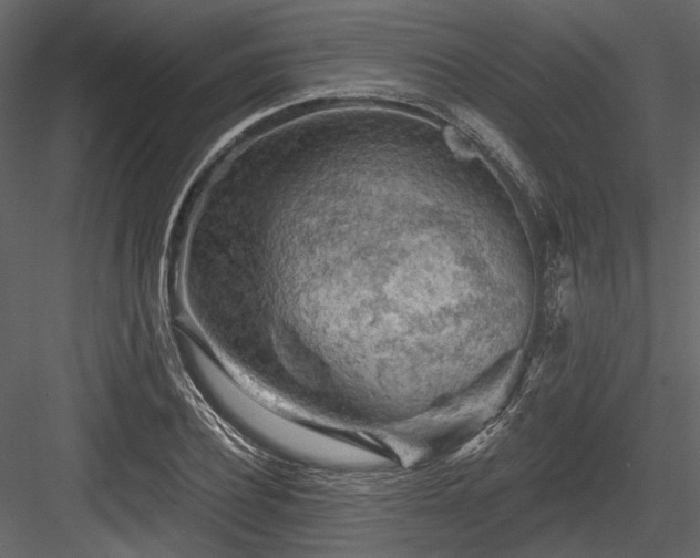 X0000084560932200702231228