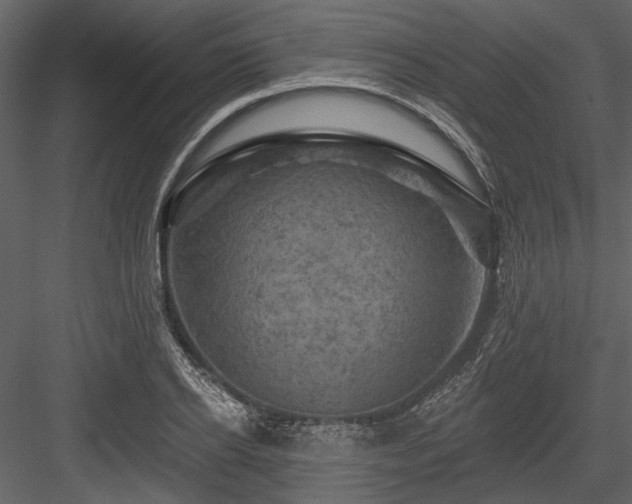 X0000084560934200702231228